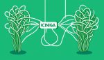 Icinga vs. Cacti: Best Network Monitoring Tools?