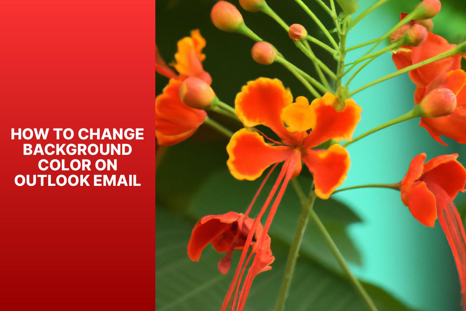 Step-by-Step Guide: Change Background Color on Outlook Email