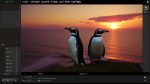 Mastering Basics: How to Copy Files in Linux Explained